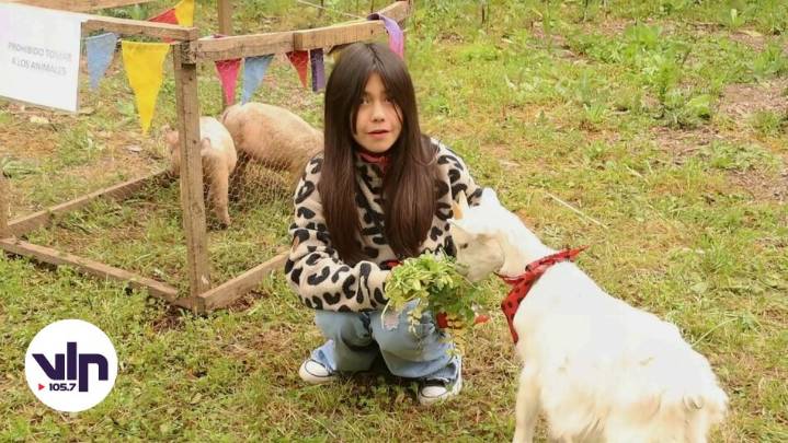 El Granja Fest se realizará este domingo en Molina