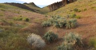 US government takes equity stake in one of the world’s largest lithium mines