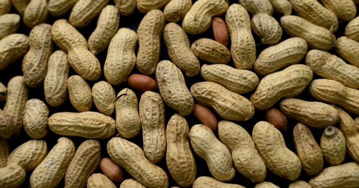 Medical study shows early peanut introduction may prevent allergies in children