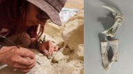 La garra de un dinosaurio: así es el nuevo hallazgo en el streaming de paleontólogos de Conicet