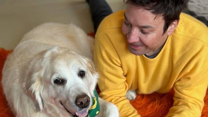 Jimmy Fallon Announces Death of Longtime Family Member: 'Our First Baby'