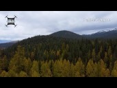 NBC Montana took the skies high above Missoula showing off the changing larch trees