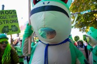 Protest Frogs Are Absurdly Serious
