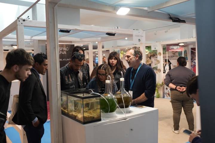 Vimar ofrecerá en el Espacio Santa Fe de Huelva una programación diversa y participativa