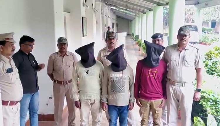 Notorious Criminal, Two Aides Arrested With Ganja And Firearms In Bargarh