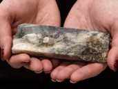 Tungsten miner buys U.S. project to resume American supply