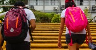 Senado aprueba proyecto que prohíbe el madrugón escolar en Colombia