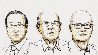 Nobel Prize 2025: Can Chemistry Build Houses for Molecules?
