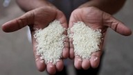 Rice stocks with FCI surge to 10