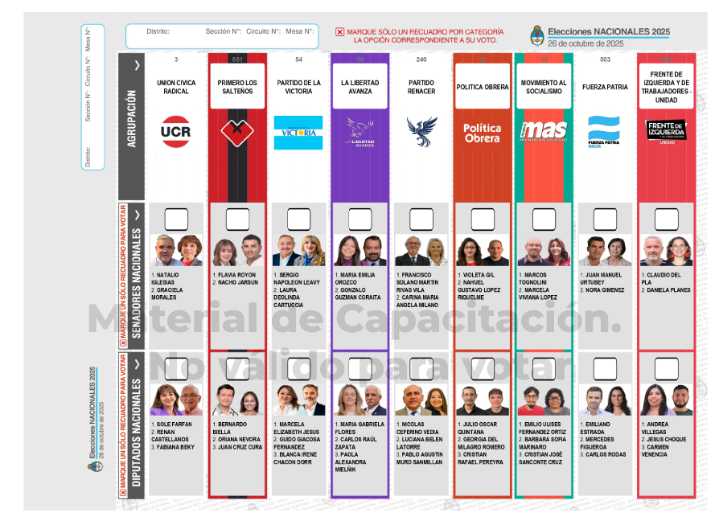 Boleta Única de Papel: cómo votar, marcar candidatos y evitar errores en las elecciones 2025