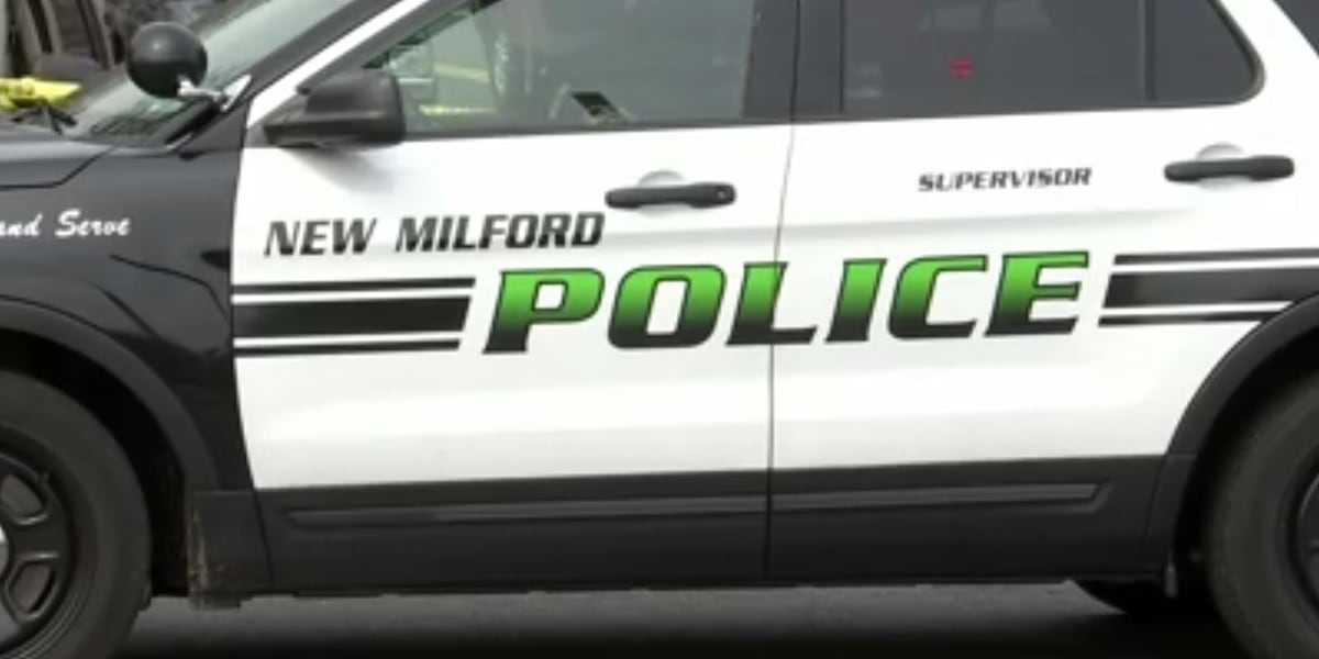 Small plane crashes at Candlelight Farms Airport in New Milford, officials say
