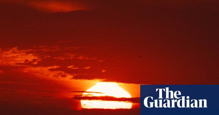 ‘Heat deaths aren’t a thing’: Coalition MPs weighing net zero given sceptical briefing on climate science