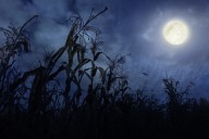 This weekend’s rare October Harvest Moon will rise as a supermoon