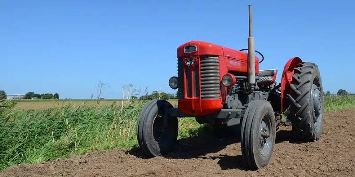 NL Young Farmers Gathering in Clarenville This Weekend