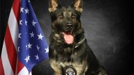 Haltom City police mourn the death of K
