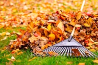 Put down the rake! Your lawn wants you to mow the fall leaves, expert says