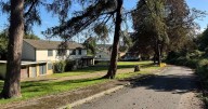 Leafy housing estate where homes have sat empty since 1990s