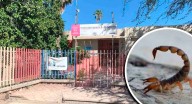 Hospital de IMSS no tenía suero antialacrán al recibir a menor de 5 años picada en preescolar de Hermosillo; se consiguió a la brevedad, se aplicaron 2, pero menor falleció, informa instituto