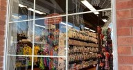 Oh deer! Injured buck trapped in Fonthill pet store after shattering front window