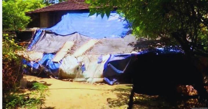 Struggling Family of Palakkad Girl Who Lost Arm Awaits Justice and Support Amid Mounting Debt