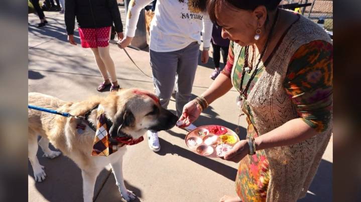 Town of Superior hosting Kukur Dihar 'Day of the Dog' festival