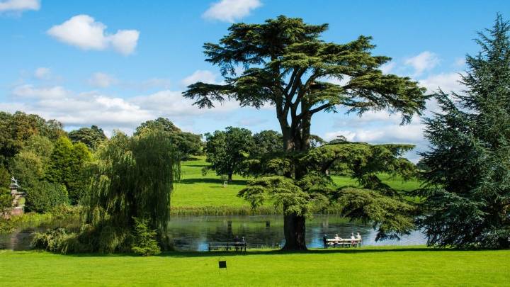 The Peak District alternative with no crowds and millions of trees