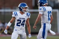 Nick Hengst’s huge night lifts Lower Dauphin past Palmyra