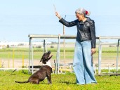 La gestión en bienestar animal de San Fernando en cifras: 23 mascotas logran una segunda oportunidad