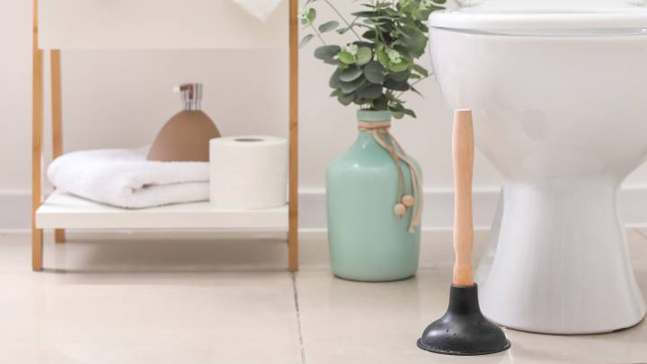 The Gorgeous Way To Hide Your Toilet Plunger In Plain Sight