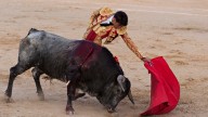 Toros en Andalucía: el cartel del 12 de octubre 2025 por la Fiesta de la Hispanidad 2025