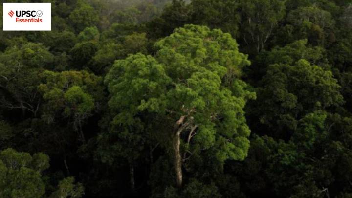 UPSC Essentials | Daily subject-wise quiz : Environment and Geography MCQs on Amazon rainforest, Sir Creek and more (Week 130)