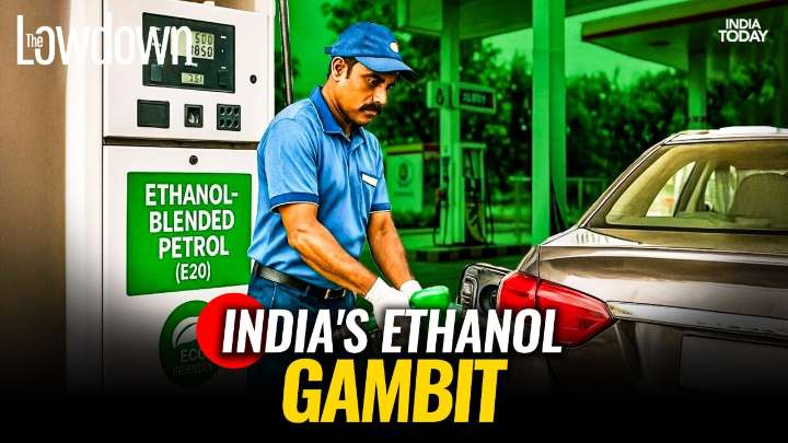 Beyond the numbers: The untold costs of India's ethanol breakthrough