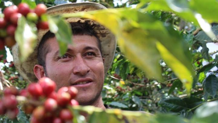 Caficultores del Valle del Cauca presentes en Cafés de Colombia Expo 2025