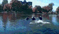 Video: Officers rescue man from drowning in Wade Park Lagoon