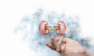 Nearly 1 in 14 adults in Telangana suffers from impaired kidney function