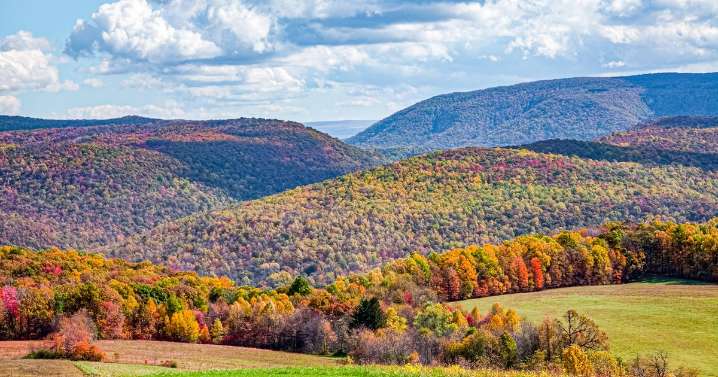 Map shows most of Pennsylvania will see peak fall foliage this week