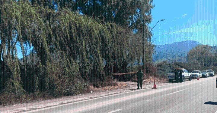 Hallan presunto torso humano dentro de una maleta en Pudahuel
