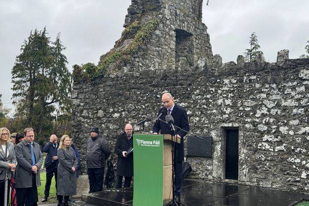 Some flying Irish tricolour dishonour our national flag, Taoiseach says