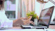 Beware of online frauds while shopping: Follow these tips for safety