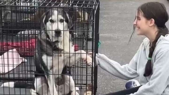 Minnesota Woman Hesitant To Adopt Is Moved By Her Daughter’s Connection With Senior Dog