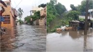 Tamil Nadu Rains: Heavy Showers Batter Southern State As Northeast Monsoon Intensifies, Cyclone Alert Issued