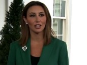 DOJ defends Alina Habba's appointment as New Jersey U.S. attorney in court challenges