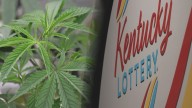 Louisville cannabis companies challenge Kentucky's dispensary licensing in court