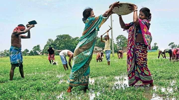 Big win for Bengal as Supreme Court directs resumption of MGNREGA after 3 years