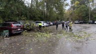 Fallen tree brings down power lines, traps 1 person at Evans Field in South Park