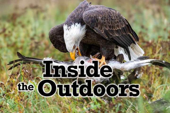 Inside the Outdoors: M-i-g-r-a-t-i-o-n spells survival for many