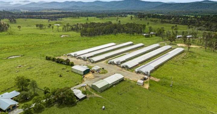 Rosewood farm for sale: prime poultry/cattle property opportunity