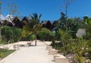 Tulum, en crisis turística; inician revisión del Parque Nacional del Jaguar