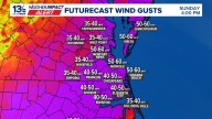 Nor'easter brings heavy rain and winds to parts of Virginia, North Carolina
