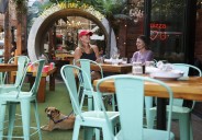 Column: Dogs belong outside, not under my feet at a restaurant